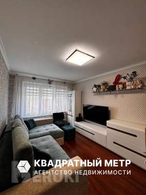 1-комнатная квартира по пр. Пушкина 0