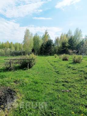 Продам дом в деревне для жизни, отдыха, рыбалки. 30 км до борисова. 3