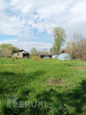 Продам дом в деревне для жизни, отдыха, рыбалки. 30 км до борисова. 4