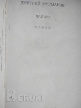 Чапаев - книга роман 1