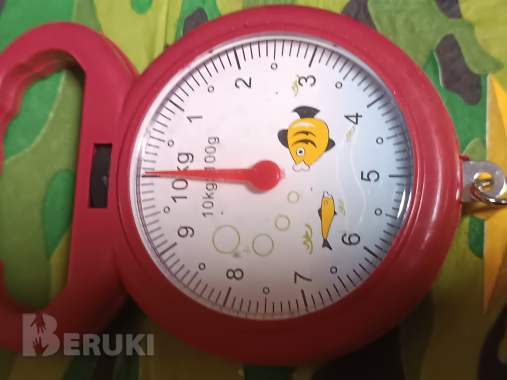 Весы безмен пружинные до 10кг с крючком 5