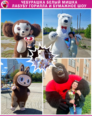 Аниматор белый медведь мишка чебурашка горилла лабубу брест кобрин и область 0