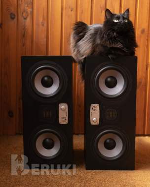 Студийные мониторы eve audio sc307 пара 0