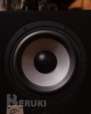 Студийные мониторы eve audio sc307 пара 1