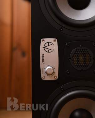 Студийные мониторы eve audio sc307 пара 2