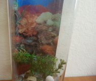 Аквариум (временный сосуд) для рыб