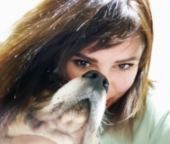 Передержка домашних животных