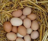 Яйца домашние, которые сами просятся в омлет