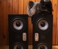 Студийные мониторы eve audio sc307 пара