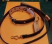 Ошейник lv louis vuitton с поводком (точная копия)