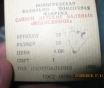 Валенки детские бсср г. Новогрудок