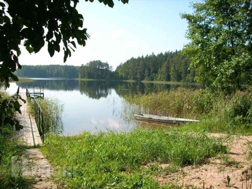 Дом на берегу озера в беларуси продаю или обменяю 4