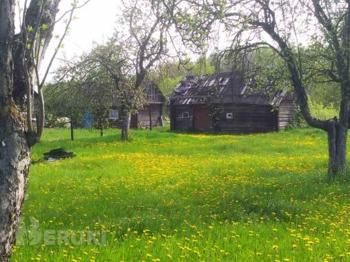 Продаём дом в деревне 3