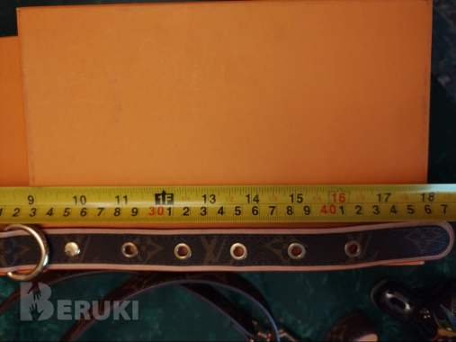 Ошейник lv louis vuitton с поводком (точная копия) 1