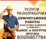 Разнорабочие