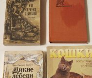 Андерсен, Сергеев, Симеон Янев