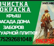 Очистка и покраска крышь,фасадов,заборов,плитки