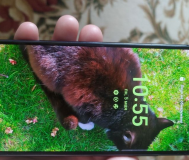 Samsung s20fe (exynos)