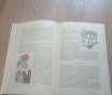 Книга «целебные кладовые природы» (минск, 1979 год)