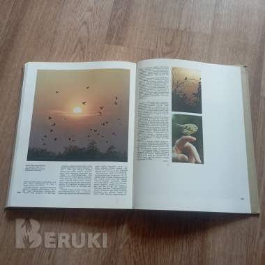 Книга «Проселки» (в. Песков, 1987 год) 1