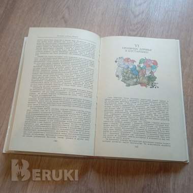 Книга «целебные кладовые природы» (минск, 1979 год) 2