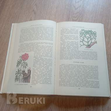 Книга «целебные кладовые природы» (минск, 1979 год) 3