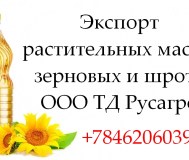 Экспорт растительных масел, зерновых и шрота от тд русагро