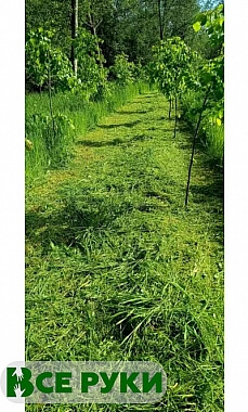 Покос травы