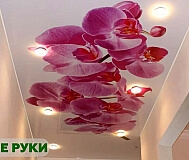 Натяжные потолки Лоев и район. Рассрочка