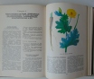 Домашний травник. - смоленск, русич, 1999 год, 528. . .