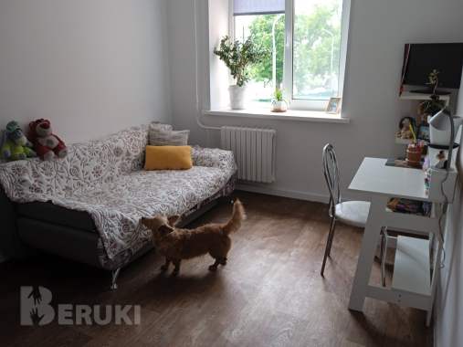 Приветливый и милый мальчик в добрые руки. 1