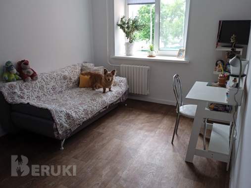 Приветливый и милый мальчик в добрые руки. 2