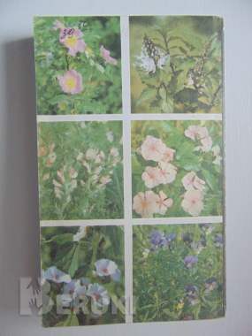 Справочник по лекарственным растениям 1