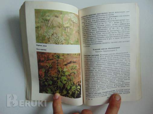 Справочник по лекарственным растениям 6