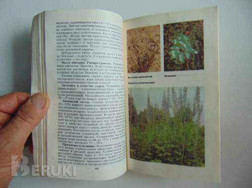 Справочник по лекарственным растениям 7