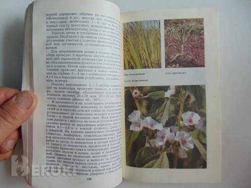 Справочник по лекарственным растениям 8