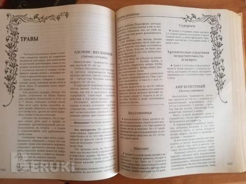Большая энциклопедия народной медицины 1