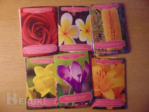 Магия цветочной терапии (44 карты + инструкция) 2