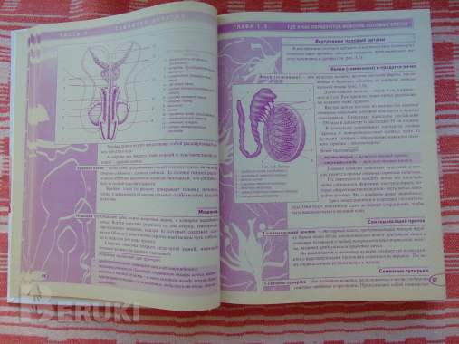 Мы ждем ребенка: таинство зачатия, счастливая. . . 4