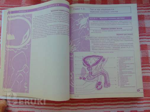 Мы ждем ребенка: таинство зачатия, счастливая. . . 5