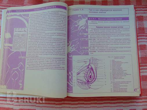 Мы ждем ребенка: таинство зачатия, счастливая. . . 6