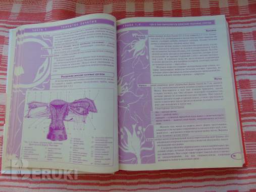 Мы ждем ребенка: таинство зачатия, счастливая. . . 7