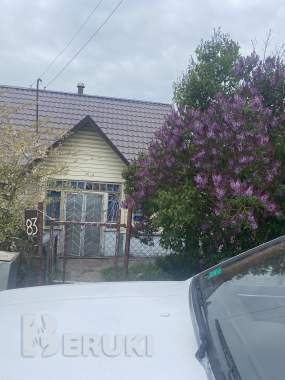 Продам дом на берегу реки в г. Поставы 0