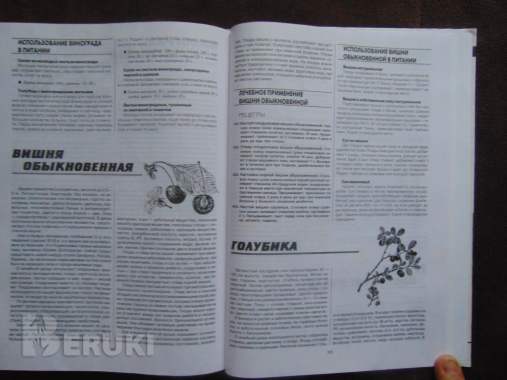 Целительная сила растений. Рецепты лечения и. . . 5