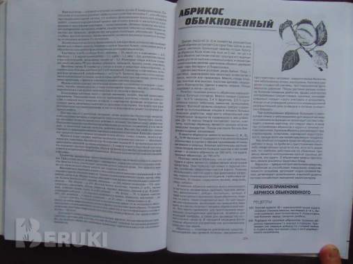 Целительная сила растений. Рецепты лечения и. . . 6