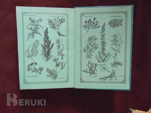 Народный лечебник или врачевание силами природы 2