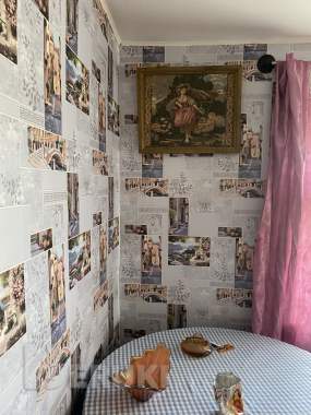 Продам дом на берегу реки в г. Поставы 11