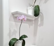 Полка декоративная