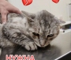 Пожалуйста, помогите нам