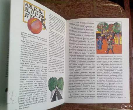 A. В. Смирнов. Вершки и корешки. 2